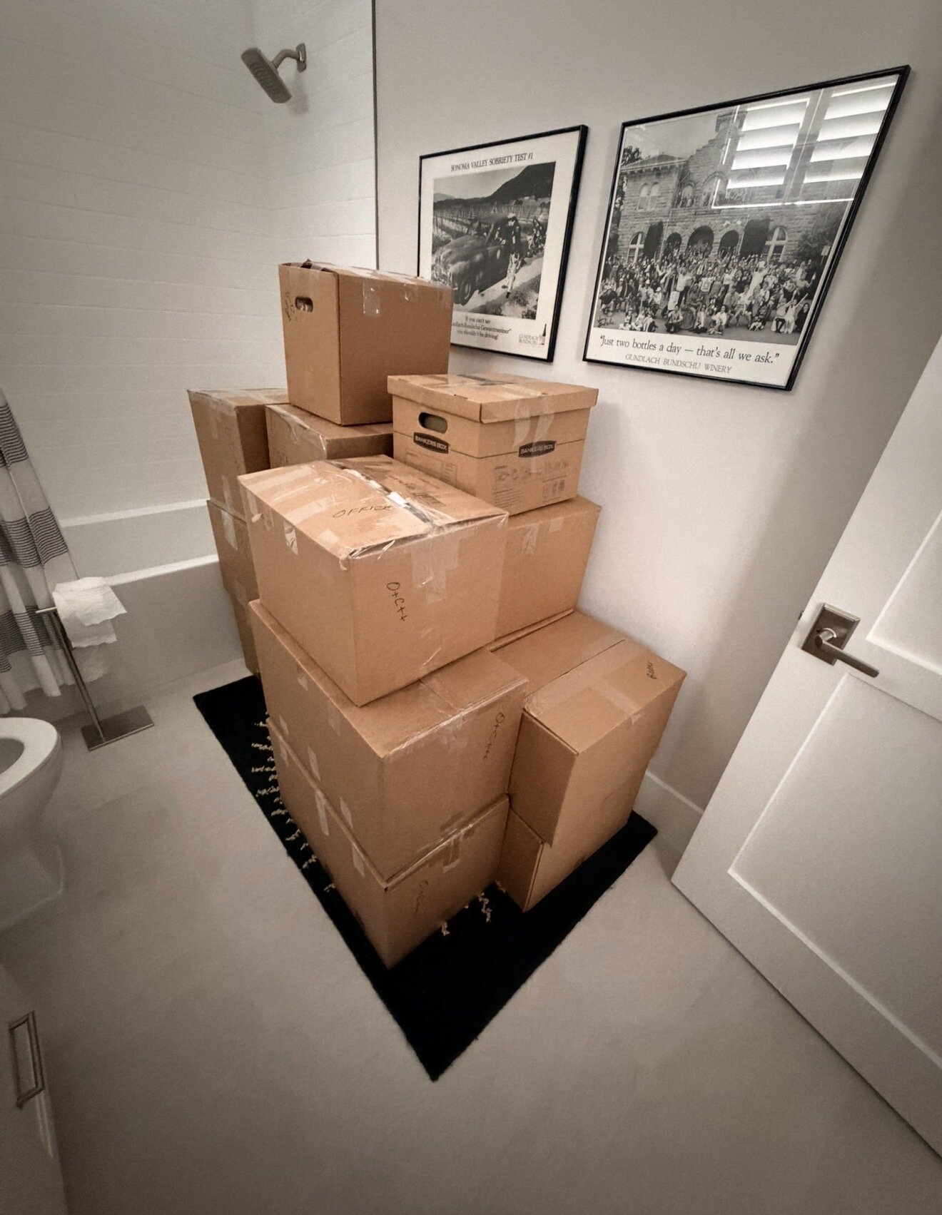Fox & Dolly Moving & Logistics at work